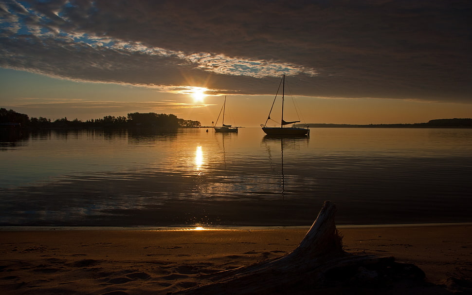 boat on body water near trees HD wallpaper