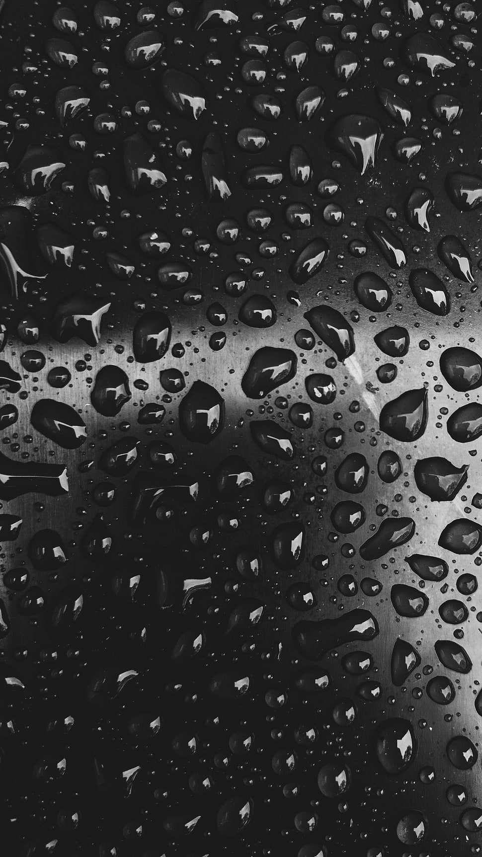 Drops,  Close-up,  Bw HD wallpaper