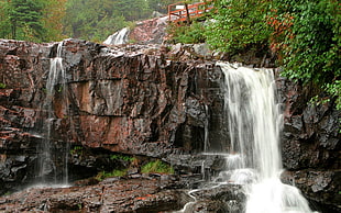 brown and black waterfalls near green leaf plants