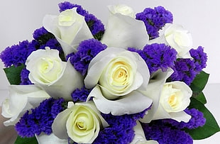 white petal rose flower arrangement
