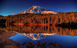 body of water, water, mountains, forest, reflection