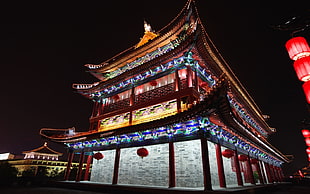 photography of Pagoda at night time