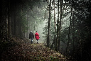 two person walking on a path full of fried leaves and trees