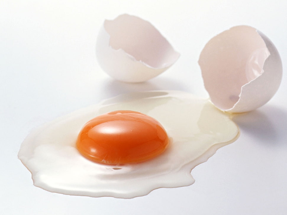 crack egg HD wallpaper