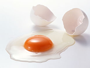 crack egg