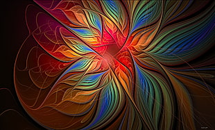 red, blue, green, and yellow flower rays digital wallpaper