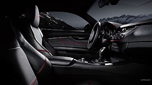 black and gray car interior, BMW Z4, BMW, car, car interior HD wallpaper