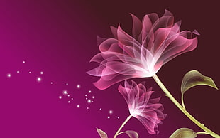 pink petaled flower digital wallpaper HD wallpaper