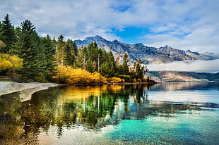 body of water near forest and mountain HD wallpaper