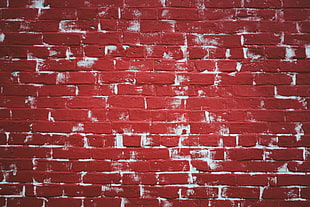 red wall bricks, Wall, Brick, Paint