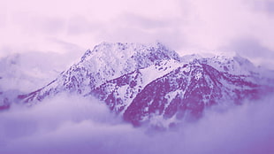 snow-covered mountain, landscape