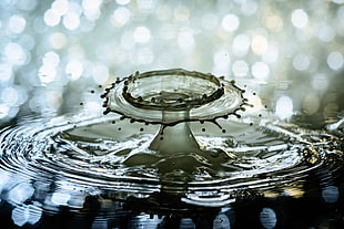 selective focus photo of water drop