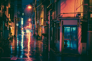 photo of street during rain digital wallpaper, Masashi Wakui, Japan, night, street HD wallpaper