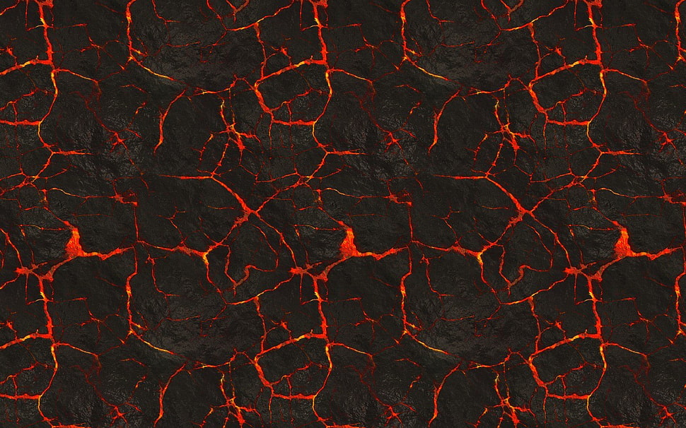red and black wallpaper HD wallpaper