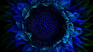 blue sunflower macro photography HD wallpaper