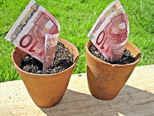 two 10 banknotes on flower pots HD wallpaper