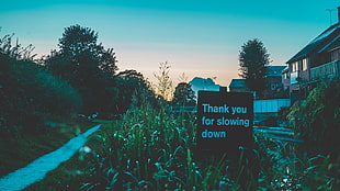 Thank you for slowing down sign HD wallpaper