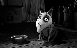 Tim Burton's movie dog with stainless steel bowl HD wallpaper