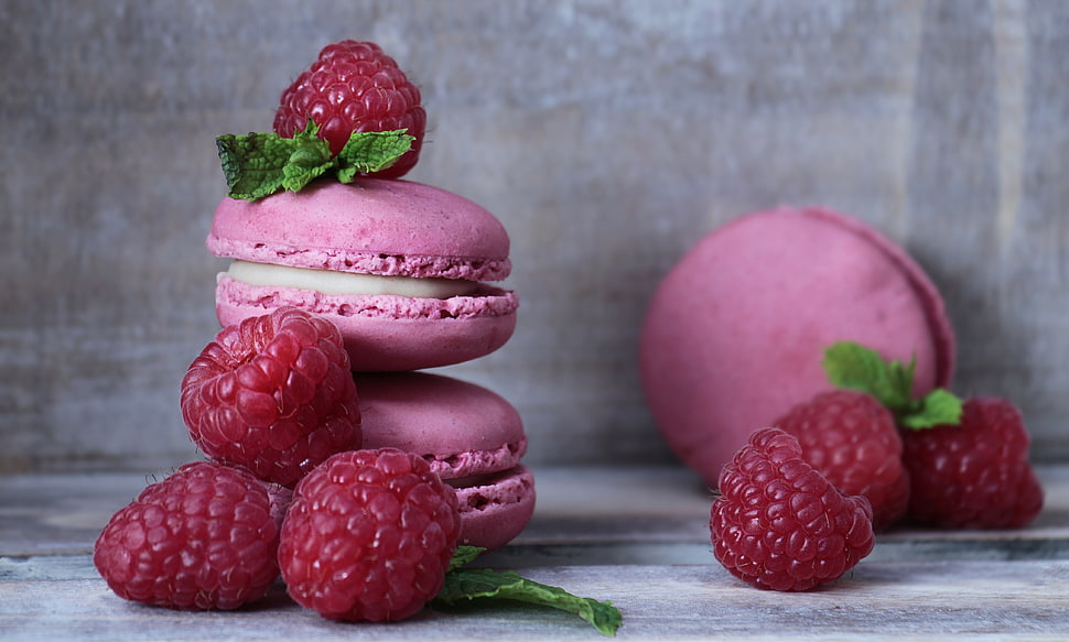 pink burgers and raspberries HD wallpaper
