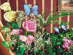yellow, pink, and white petaled flowers with two blue butterflies