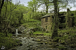 waterfall near brown concrete house surrounded by trees at daytime