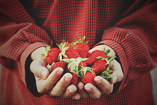 bunch of strawberries, Strawberry, Hands, Berries