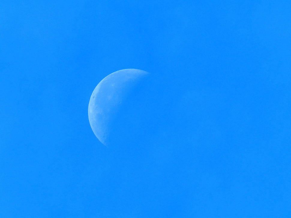 low angle photography of white moon HD wallpaper