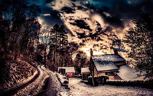 house near of road with snow cover, HDR, road, clouds, trees