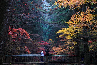 man and woman standing in front of tree in the bridge