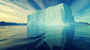iceberg surround with body of water, iceberg, nature, water, ice