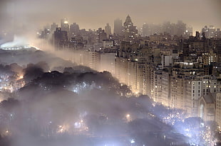 white skyscrapers, mist, cityscape, New York City, building
