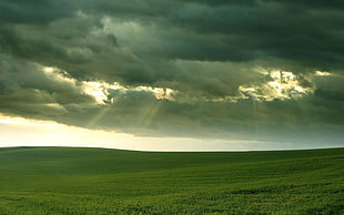 green grass, landscape, clouds, grass, sun rays HD wallpaper