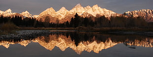 panoramic photography of lake, silhouette of trees and glacier mountain during daytime