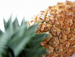 selective focus photography of pineapple fruit HD wallpaper