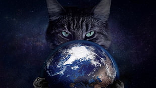 black cat, space, cat, Earth