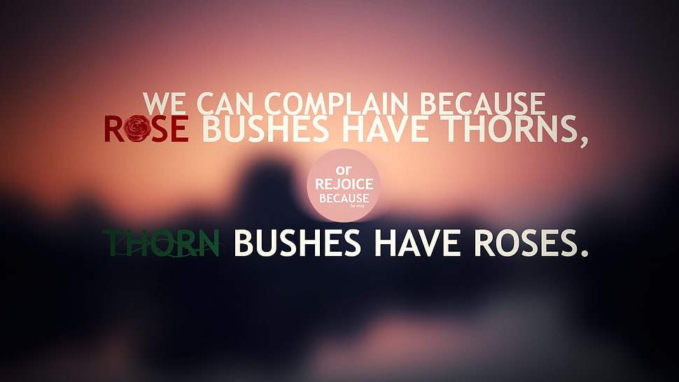 white text on pink background, quote, text HD wallpaper