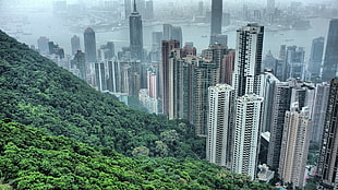 areal photo of high-rise and low-rise building near forest HD wallpaper