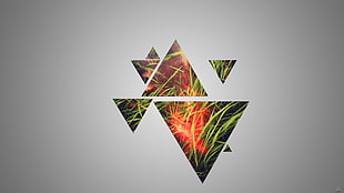 green grass wall decor, grass, triangle HD wallpaper