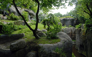 landscape of garden under blue skies