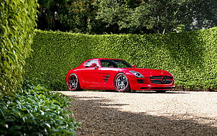 red coupe, Mercedes-Benz, red cars, car, hedges