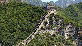 Great Wall of China, landscape, nature, Great Wall of China, forest HD wallpaper
