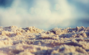 selective focus photography of white sand