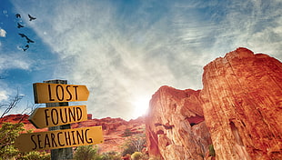 LOST Found Searching signboard HD wallpaper