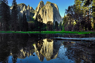 body of water near at forest and mountain, cathedral rocks, yosemite national park HD wallpaper