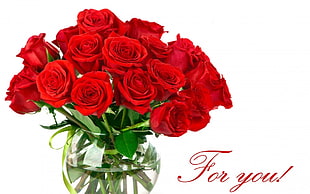 red rose bouquet in clear glass bowl