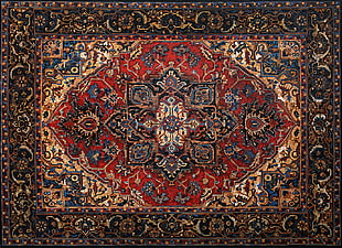 brown, blue, and white floral area rug, carpets