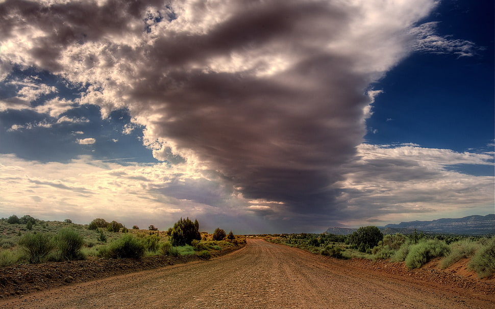 gray pathway, landscape HD wallpaper