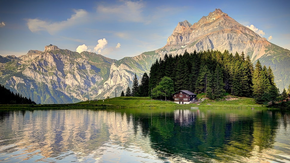 pine tree and mountain, landscape HD wallpaper