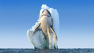 Great White Shark, shark, render, sea, fangs HD wallpaper