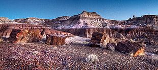 brown and black cut logs on a multicolored marble field during daytime, petrified forest national park